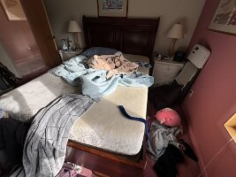 ROOM-2026 2026-05-21 08.06.30