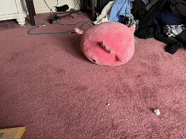 ROOM-2026-05-07 07.56.20